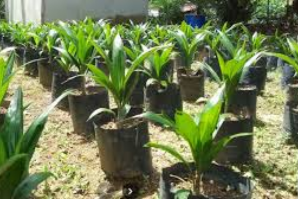 Untitled design (3) 1